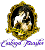 Gypsy Gold Embryo Transfer Program
