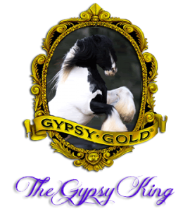 The Gypsy King