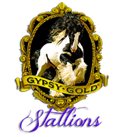 Gypsy Gold Stallions