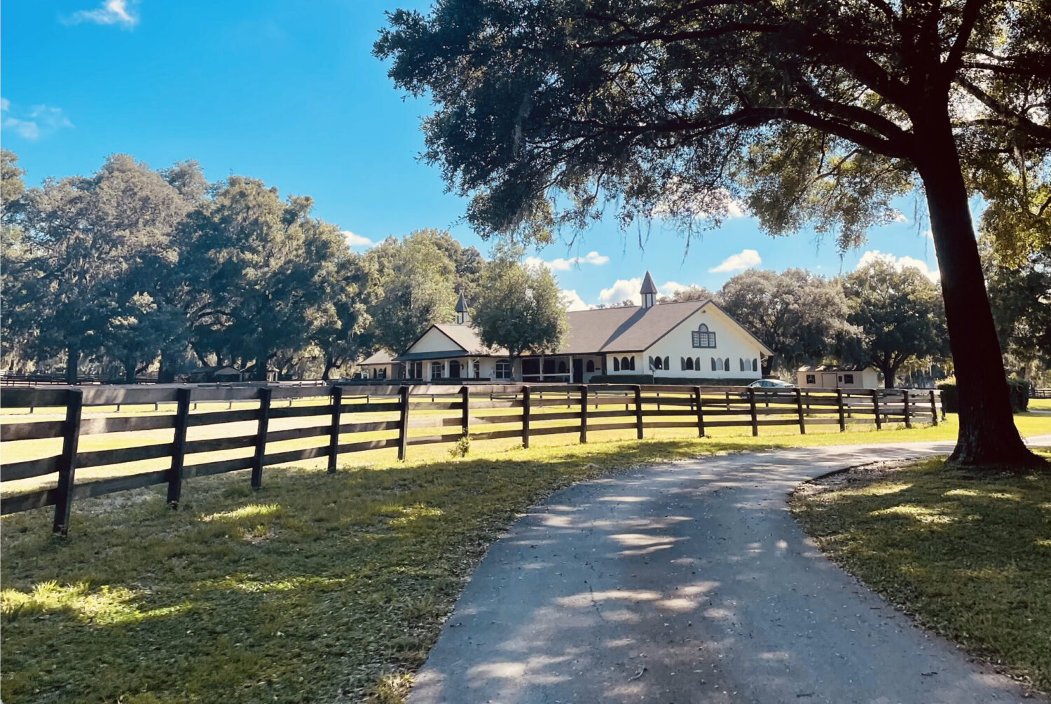 Gypsy Gold Horse Farm