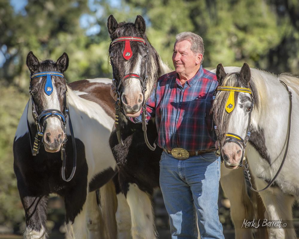 Dennis Thompson Dennis Thompson with Gypsy Vanner Mares