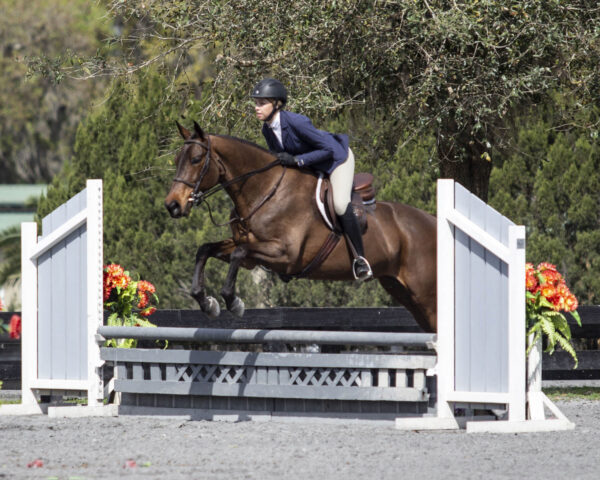 HITS Ocala