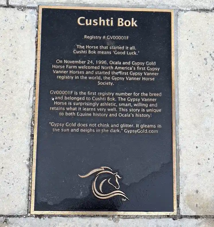 cushti-bok-plaque-ocala Cushti Bok on the Walk of Fame in downtown Ocala, Florida